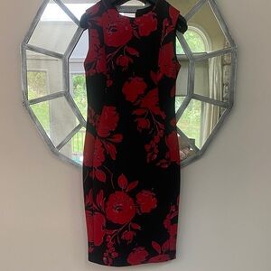 Calvin Klein Navy blue and Red Floral Midi Dress